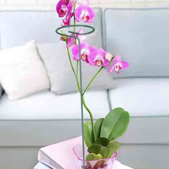 Набор опор 3 штуки для комнатных и садовых растений с кольцоми для поддержки, цветов, рассады размер 39х4 см Каменец-Подольский