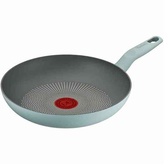 Сковорода Tefal Halo Eucalyptus 24 см (G0160402) ( 25729 ) Харьков