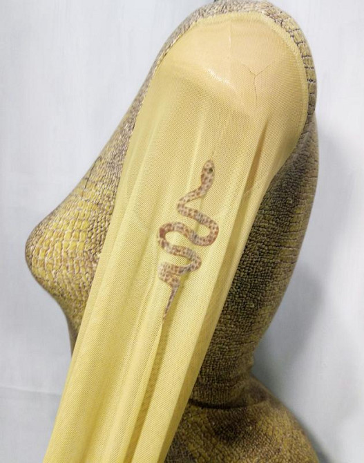 Боди Sealine 373-404 XL Київ - фото 3