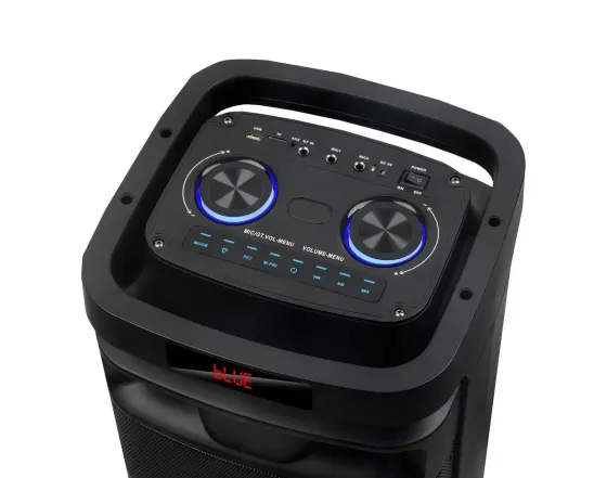 Портативна акустична колонка B208-09 80Вт 2x8" TWS/FM/USB/TF/BT/LED з 2 мікрофонами Одеса