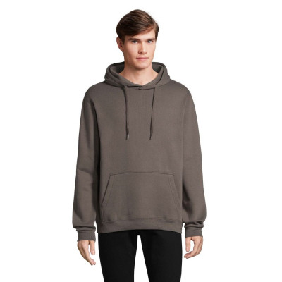 Худи Sol's Snake темно-сірий S (47101384S) Винница - изображение 1