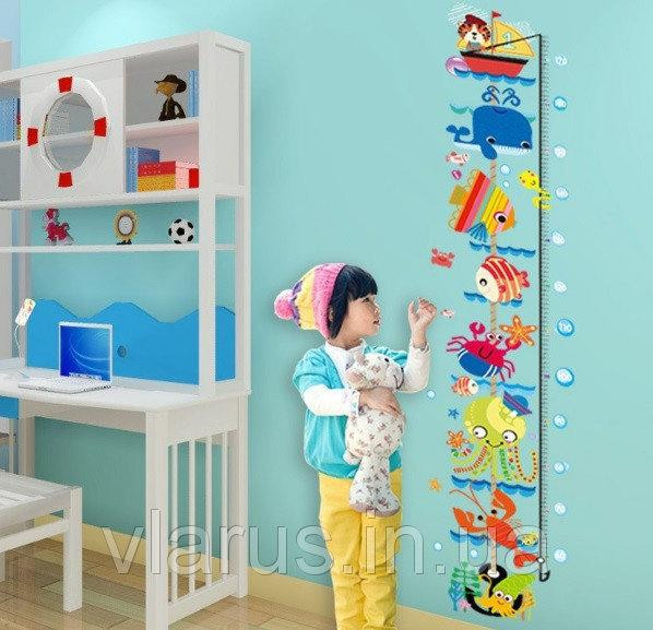 Інтер'єрна наклейка ростомір морський Київ - фото 1