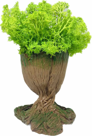 Кашпо горщик зі стабілізованим мохом Грут Groot G2 Вінниця