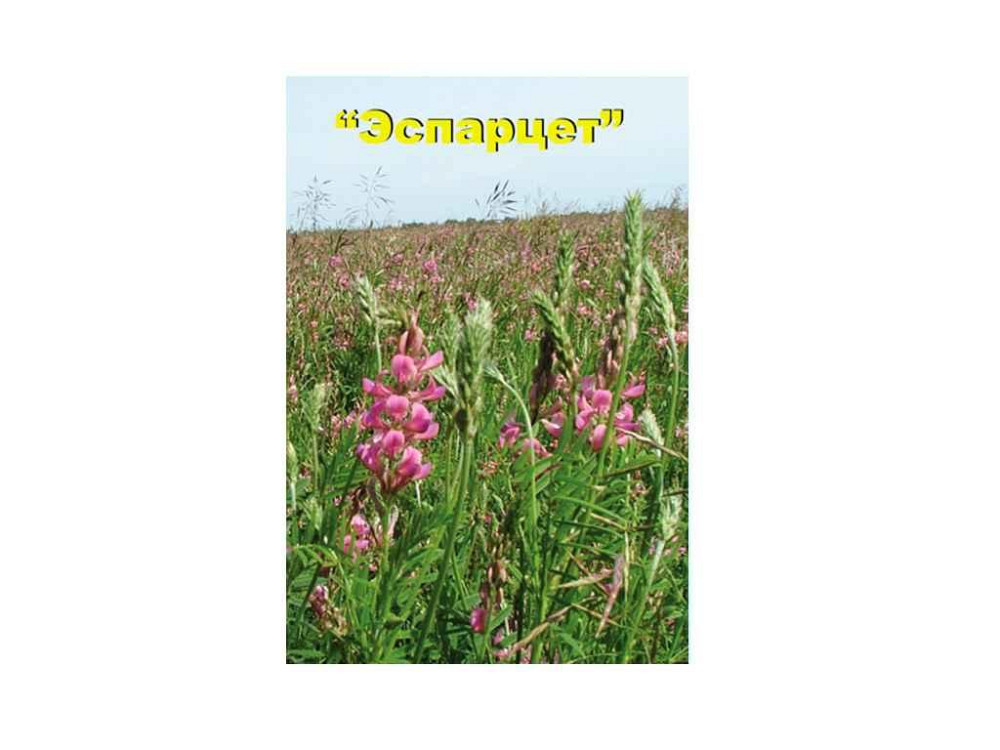 Эспарцет (в мешке) 25кг ТМ НАСИКА УКРАИНЫ Киев - изображение 1