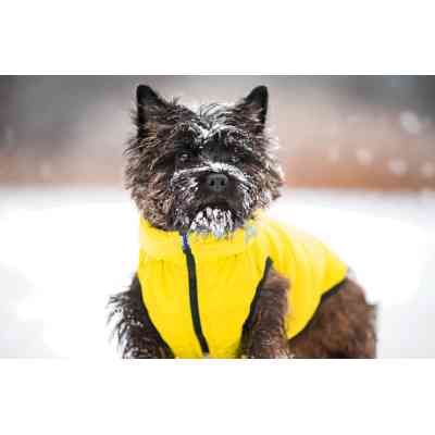 Курточка для животных Collar AiryVest "Colors of freedom" S 30 (4442-4020) Винница