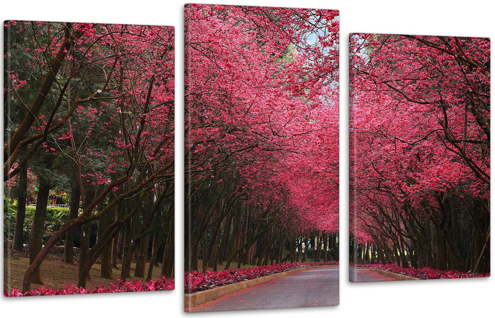 Модульна картина Сад Сакури Art-174_3 Київ - фото 1