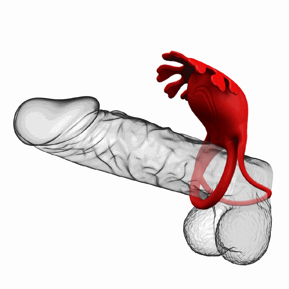 Кільце рекційне Pretty Love — Vibration Penis Ring Ruben Red Sex Aura Київ - фото 2