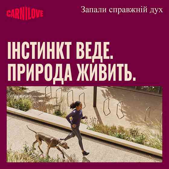 Корм вологий Carnilove Turkey & Venison with Stawberry Leaves для собак паштет індичка та оленина з листям полуниці 300 г Київ