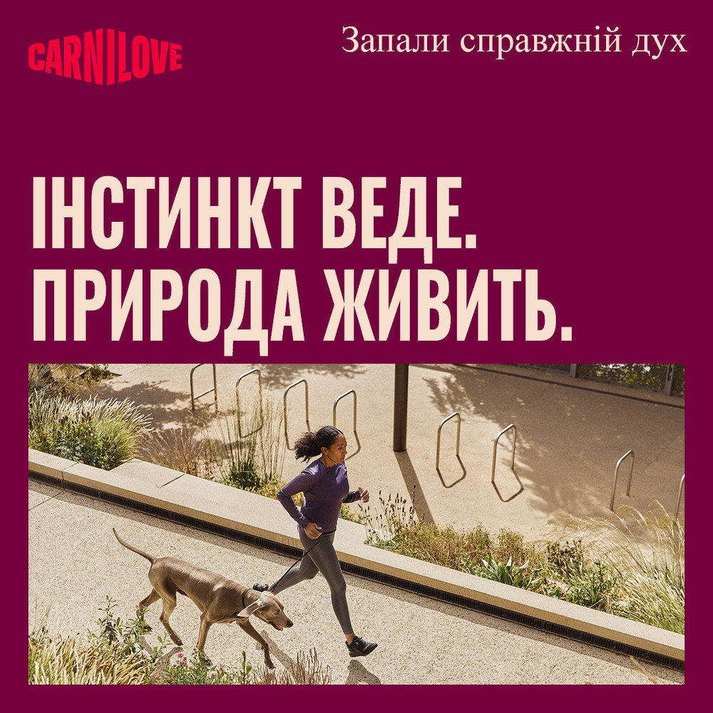 Корм вологий Carnilove Turkey & Venison with Stawberry Leaves для собак паштет індичка та оленина з листям полуниці 300 г Київ - фото 6