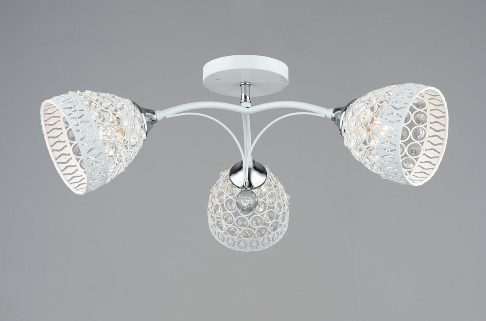 B N5875/3 WT+CR Коломыя - изображение 1