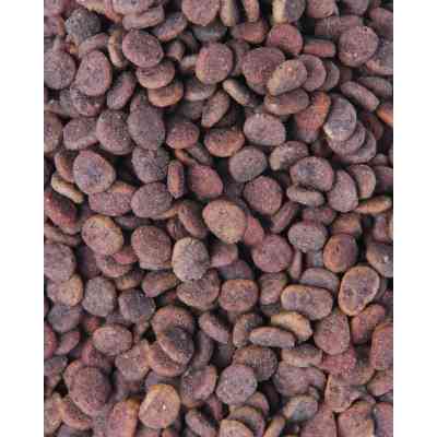 Сухой корм для кошек Carnilove True Fresh Cat Turkey 340 г (8595602561445) Винница