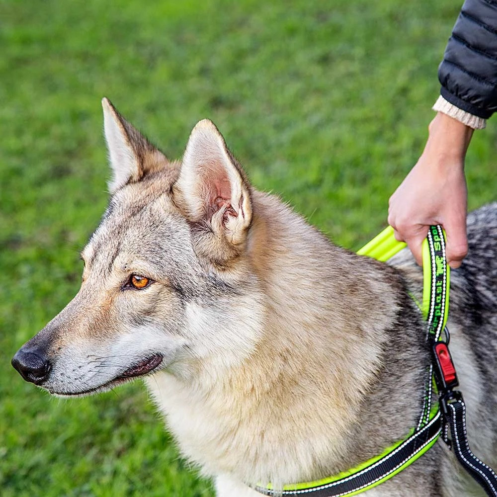 Нейлонова шлейка світловідражаюча норвезького типу для собак Ferplast Sport Dog P (Ферпласт Спорт Дог П) A: 65 см - B: 77 sign 98 см - L, Сірий Запоріжжя - фото 8