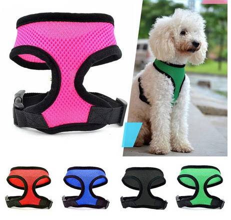 Нашийник для собак дрібних порід чорний Київ - фото 2