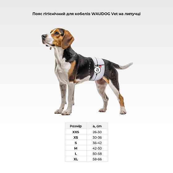 Пояс гигиенический для кобелей WAUDOG Vet на липучке, серый, ХХS, А 26-30 см Киев