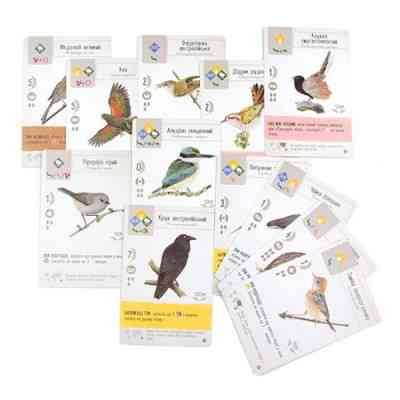 Настільна гра Ігромаг Крила: Птахи Океанії (Wingspan: Oceania Expansion) (STM903) Вінниця