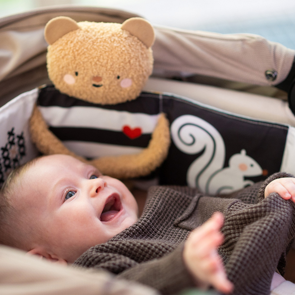 Розвивальна книжка-розкладушка 2-в-1 – Обійми ведмедика Дніпро - фото 7