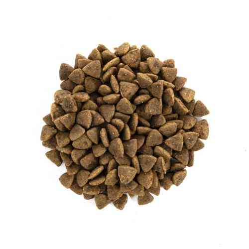 Корм сухий Brit Care Cat Grain Free Adult Activity Support для вуличних та дорослих котів філе індички та курки 7 кг Київ