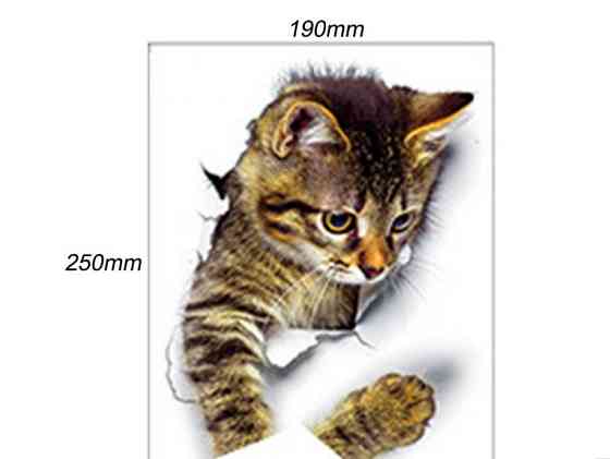 Вінілова наклейка Кіт 19 на 25 см різнобарвний Київ