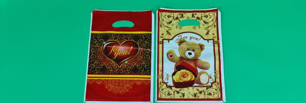 Пакеты с вырубной ручкой (20*30)