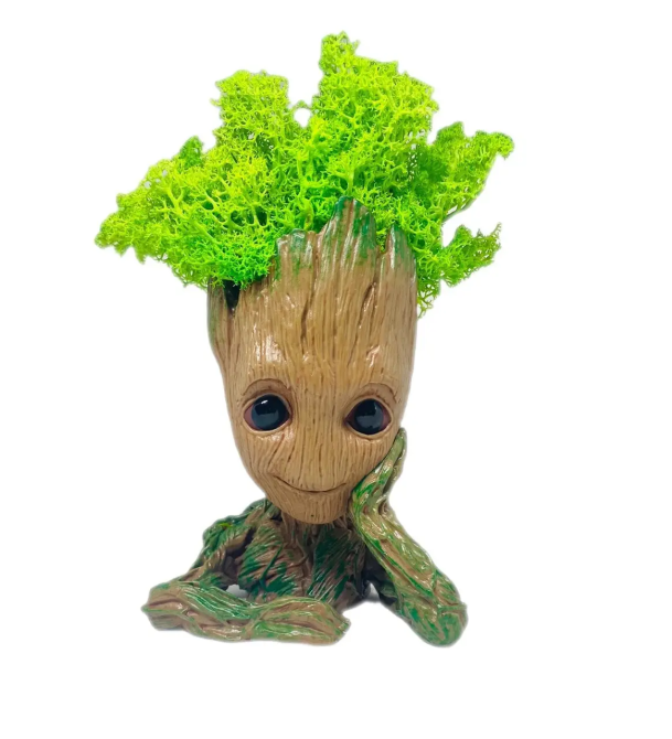 Кашпо горшочек со стабилизированным мхом Грут Groot G1 Винница - изображение 1