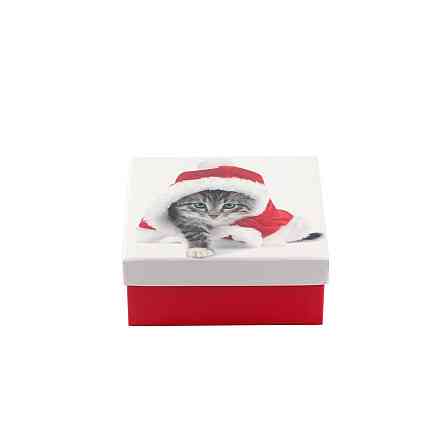 Коробка подарункова ООТВ Santa Cat 12 х 12 х 8 см Рівне