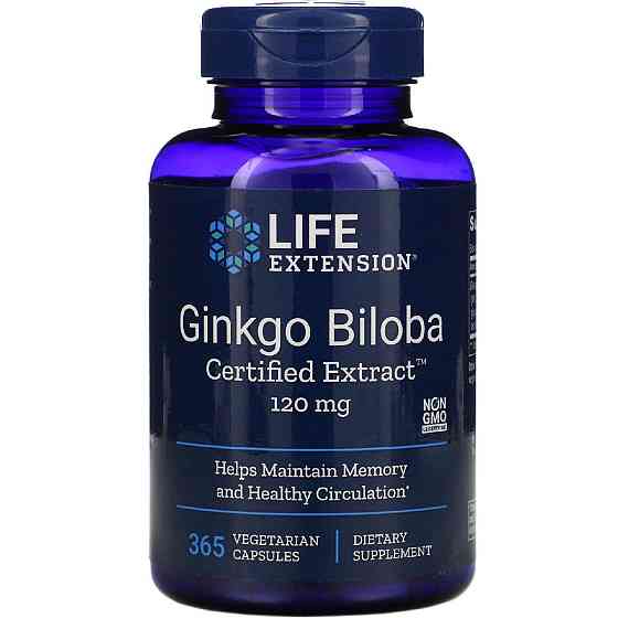 Гінкго Білоба сертифікований екстракт (Gingko Biloba) 120 мг 365 капсул Київ