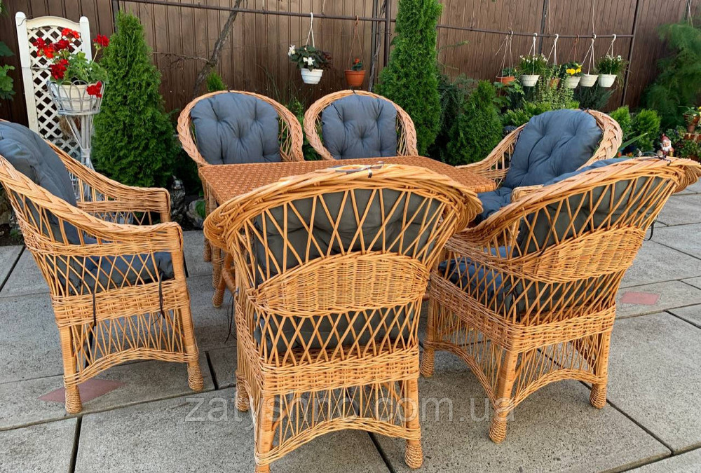Комплект меблів, великий набір з кріслами та подушками Київ - фото 3