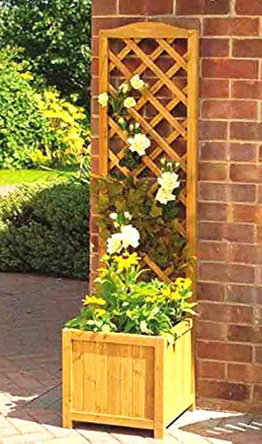 Кашпо зі шпалерою "Лонека" каррі Миколаїв - фото 1