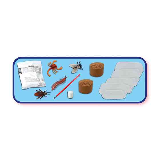 Набір серії Дослідник - Скам'янілості комах, що світяться Днепр