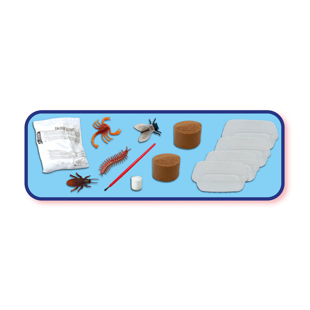 Набір серії Дослідник - Скам'янілості комах, що світяться Днепр - изображение 4