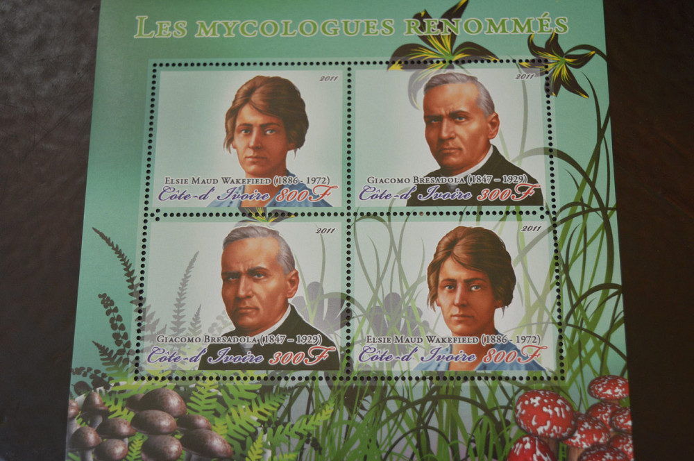 Марки. Особистості. Блок. 2011 рік (А-15) Полтава - фото 1