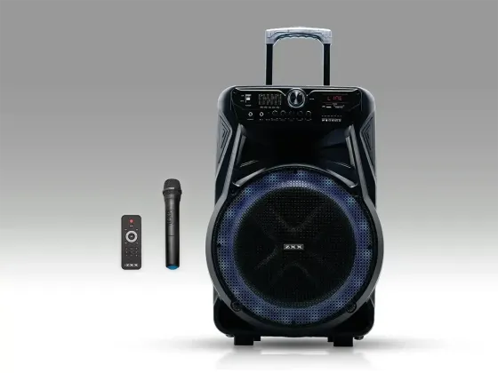Акустична переносна колонка ZXX-7272 600Вт 15" 66х45х31см TWS/USB/SD/FM/BT/MIC/ДК Київ