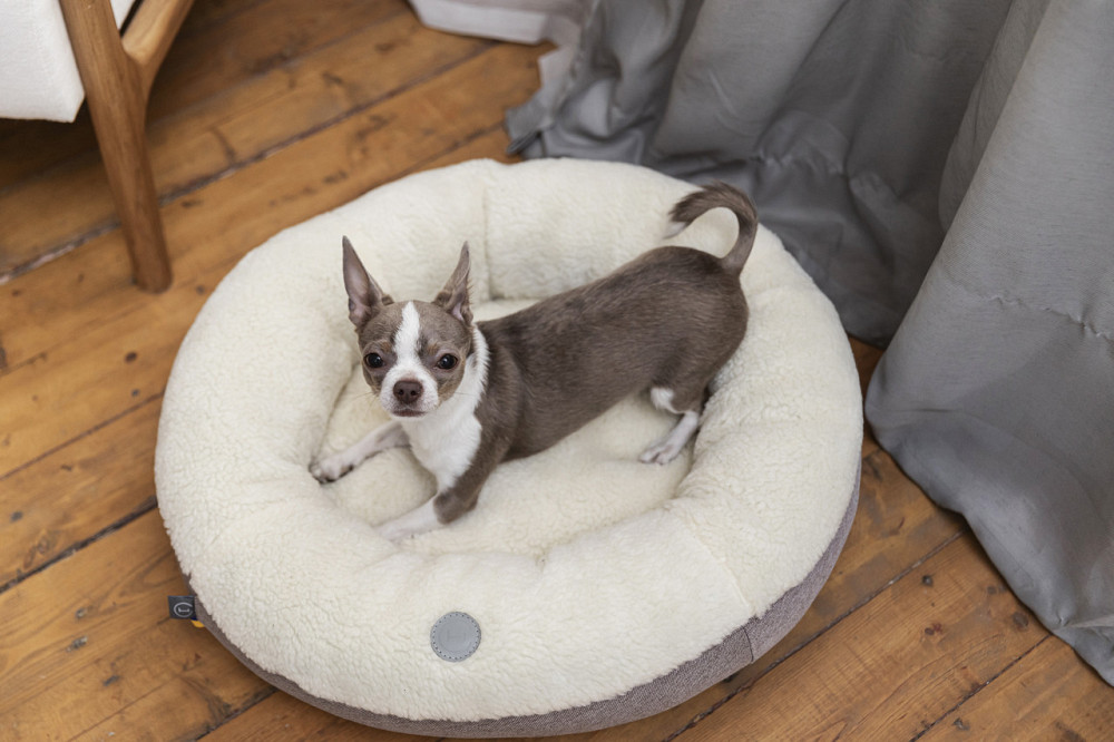 Лежанка для собак і котів овальна Harley and Cho, круглий лежак для тварин Bagel Fur Milky Одеса - фото 9