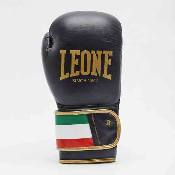 Боксерські рукавички Leone Italy Black 10 ун. Каменское