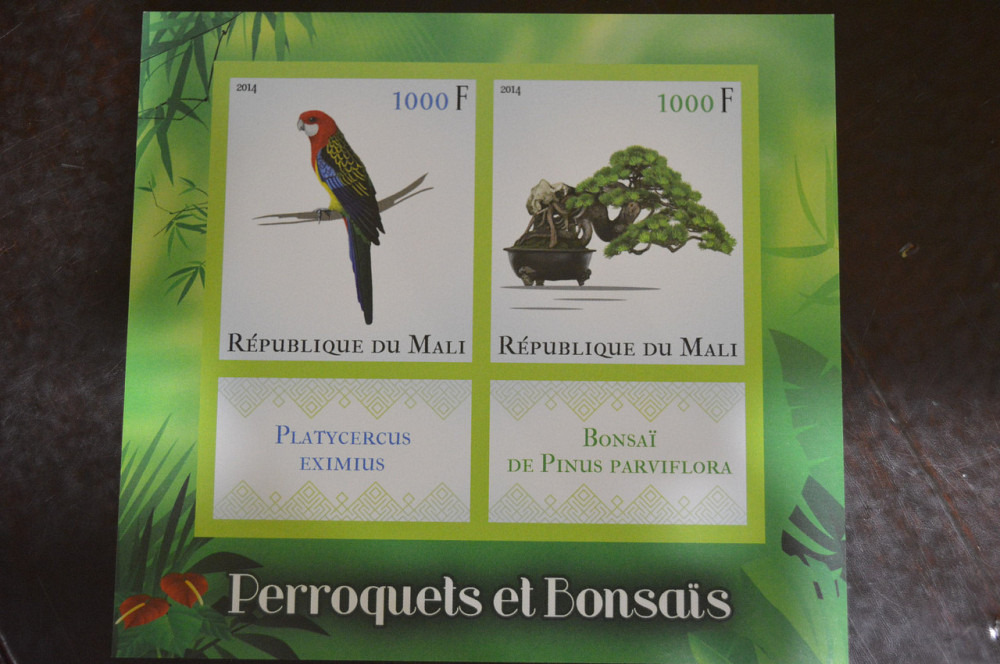 Мали. Марки. Фауна. Блок. 2013 год (В-3) Полтава - изображение 1