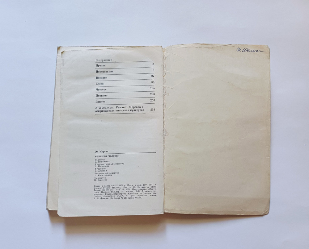 Книга Роман Велика людина Ел Медіган Київ - фото 3