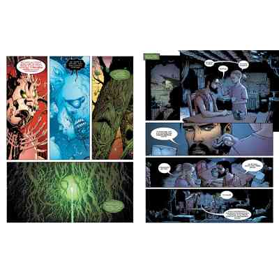 Комикс Болотяна Істота. Зелене пекло - Джефф Лемір Видавництво РМ (9786178373016) Винница