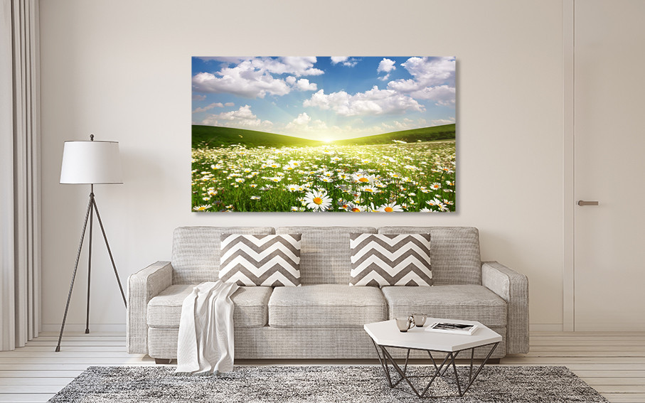 Картина холст в гостиную / спальню  Поле Ромашок    MLP_90 70x140 см Киев - изображение 2