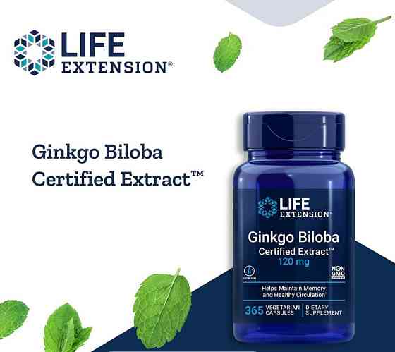 Гінкго білоба Life Extension Ginkgo Biloba 120 мг 365 капсул Київ
