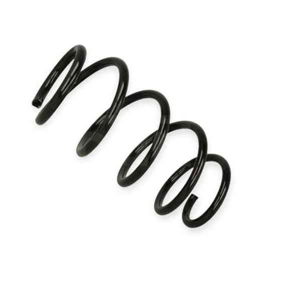 Пружина Ford S-Max 1.6-2.5i, D (06-14) передняя Мукачево