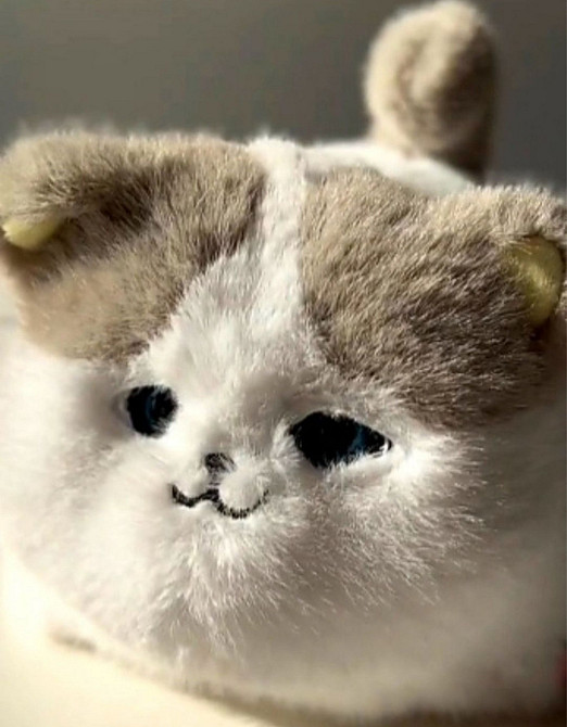 Інтерактивний котик/ Киев - изображение 7