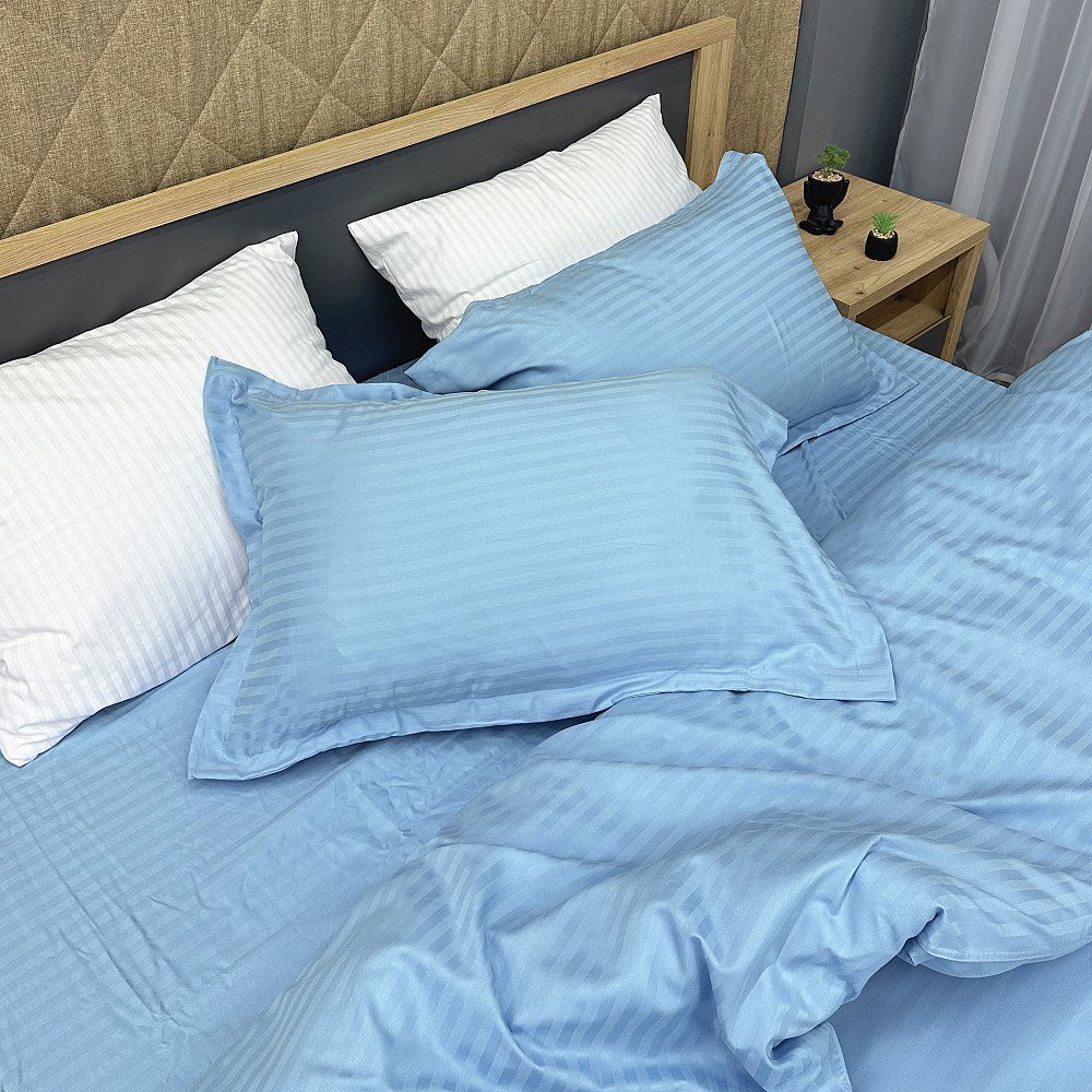 Комплект постельного белья Страйп-сатин Двуспальный 180х220 с простыней на резинке Голубой (88-114) Киев - изображение 1