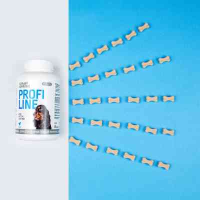 Вітаміни для собак ProVET Кальцій комплекс для кісток і зубів 100 табл. (4823082431649) Вінниця