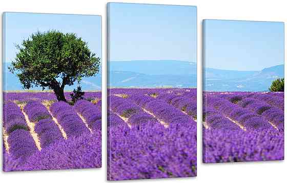 Модульна картина Природа Лаванда Art-41_3 Київ
