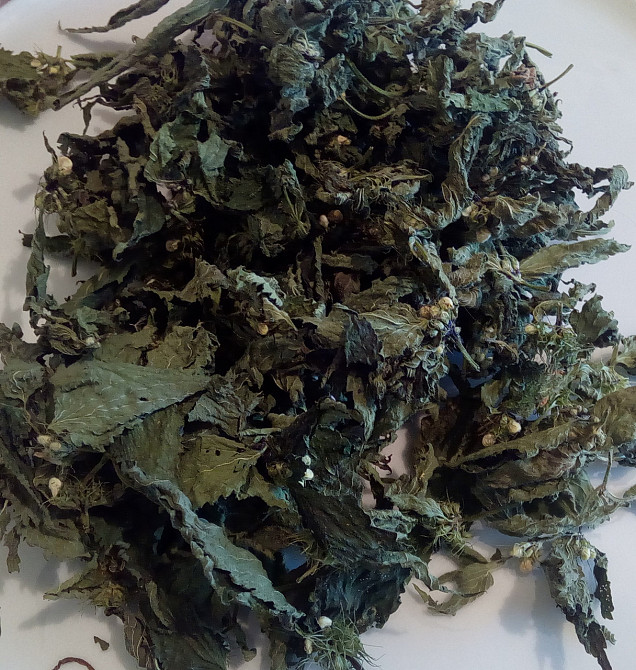 500г. Яснотка белая / Глухая кропива (трава), 500г. MasterSEM Киев - изображение 1