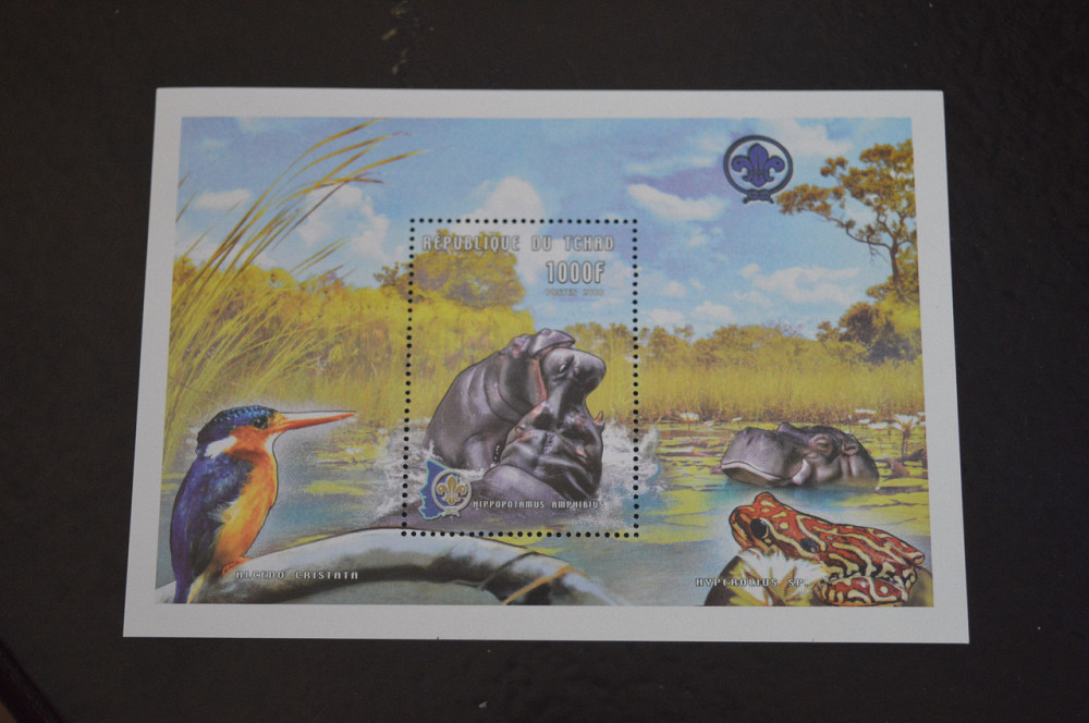 Чад. Фауна. Блок. 2000 год (В-7) Полтава - изображение 1