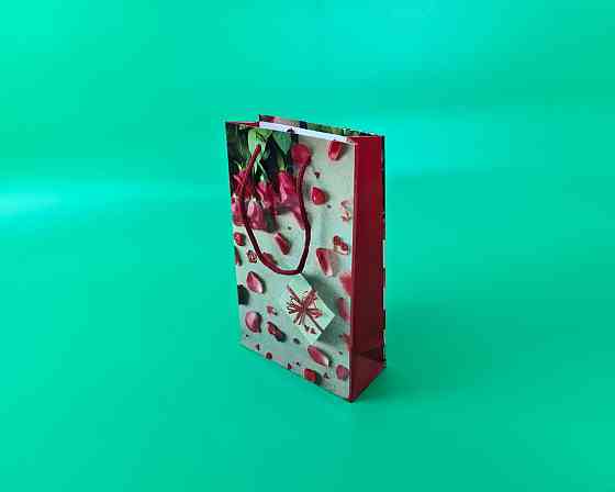 Паперовий пакет подарунковий Середній 17/26/8 (артSV-103) (12 шт.) Харків