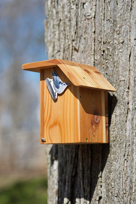 Скворечник садовый 