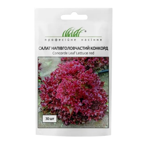 Салат Конкорд Лолло Россо червоний 30шт Професійне насіння Житомир
