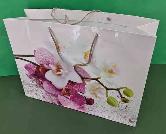 Гиганты горизонтальные 46*33*15 (артGG-009) (12 шт) Харків